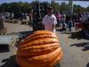 Hilger's Giant Pumpkin Weighoff