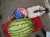 A proud Nathan Okorn posing with the 350.5 which was grown on a plant he grafted.