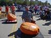 Hilger's Giant Pumpkin Weighoff