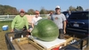 470.5 Connolly Bushel Gourd at Frerichs