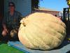 2006 Borchard Farms,  CA  Weigh-Off  #9