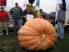 Flores at Frerichs Farm 2005