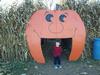 Hungry Pumpkin Attacks Boy