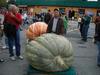 New York State Record Squash