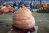 2002 Topsfield Fair - #33 - 653.6 lbs by Scott Lial