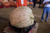 2002 Topsfield Fair - #57 - 516.0 lbs by Ronald L. Bechard