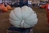 2002 Topsfield Fair - #76 - 889.6 lbs Squash by Wes Dwelly