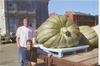 NY State record squash