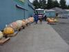 "small" pumpkins at Canby 2002