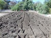 So.Cal.Grower