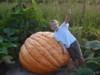 BayCitygrower