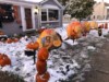 PUMPKIN HOUSE